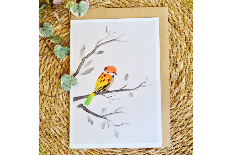 1 Tree Cards - Fine Feathered Friend