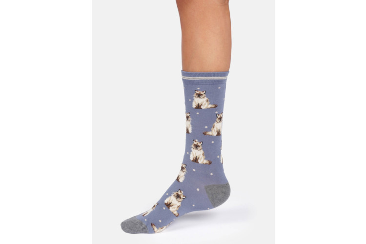 Bamboo socks UK 4 -7 Ragdoll Cat on a Mid Blue