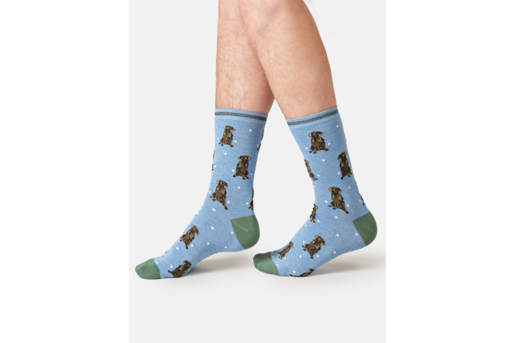 Bamboo socks UK 7 - 11 Labrador on Blue