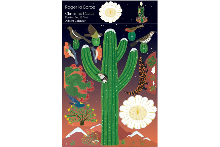 Christmas Cactus Advent Calendar