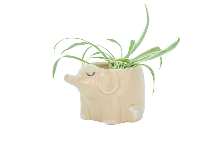 Elephant Mini Planter