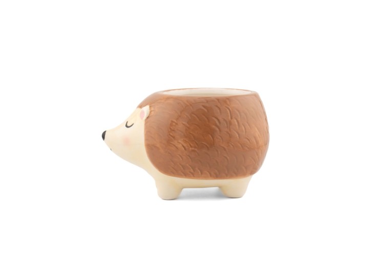 Hedgehog Planter