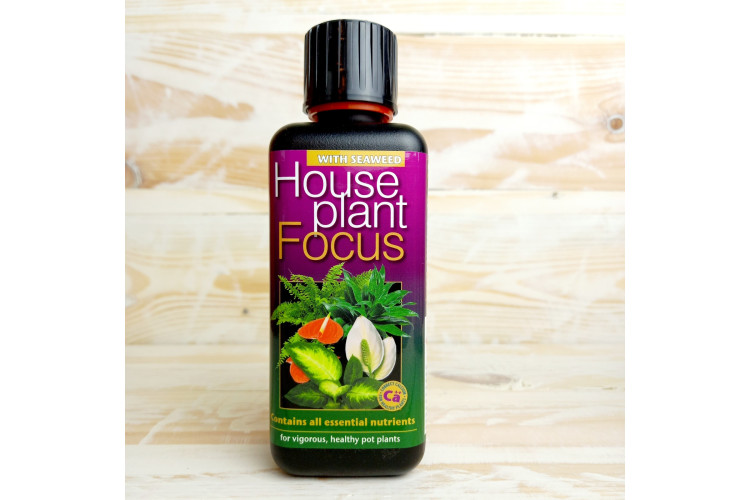 Growth Tech House Plant Focus plant food 300ml