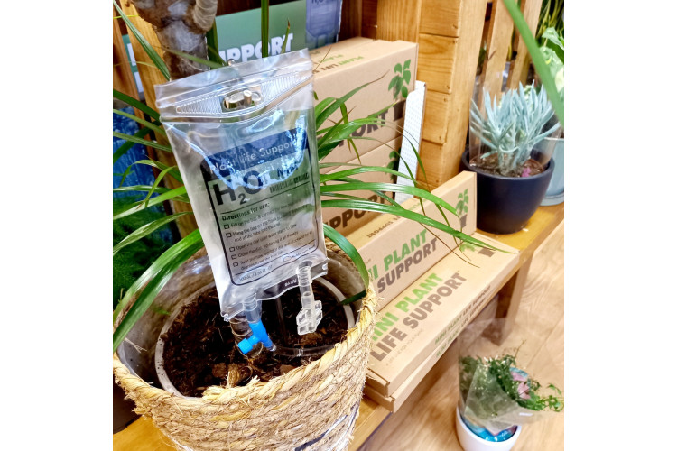 Mini Plant Life Support