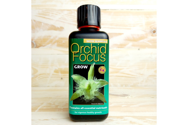 Growth Tech Orchid focus Groq Plant feed 300ml