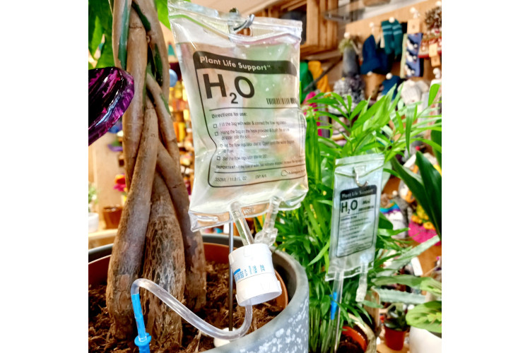 Plant Life Support