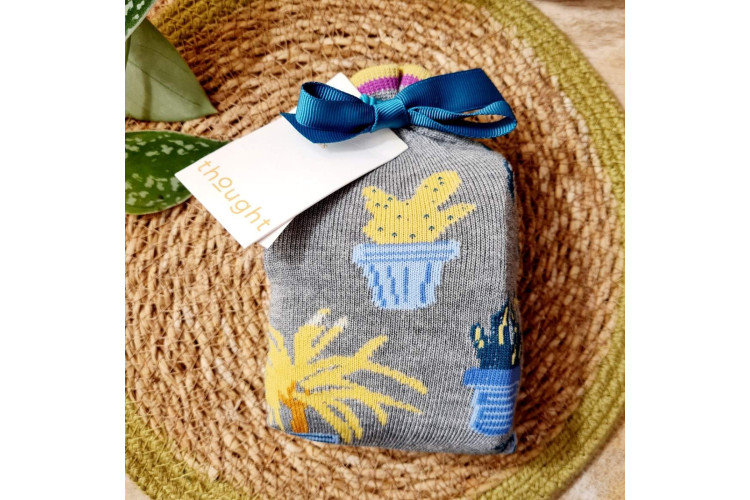 Thought Dracaena Houseplant Bamboo Socks in a Bag